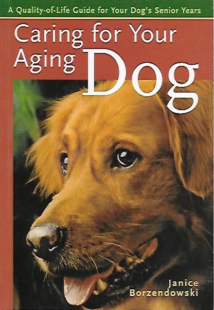 Caring for your aging dog