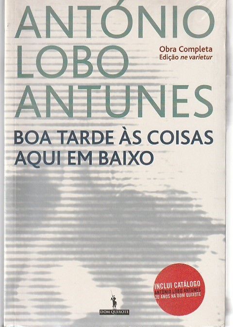 Boa tarde às coisas aqui em baixo (1ª ed.)