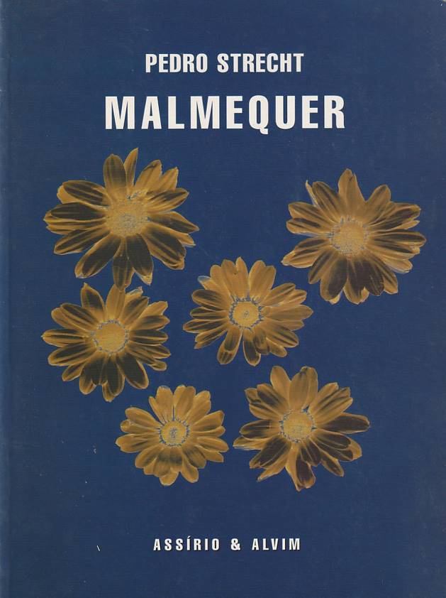 Malmequer - Pedro Strecht