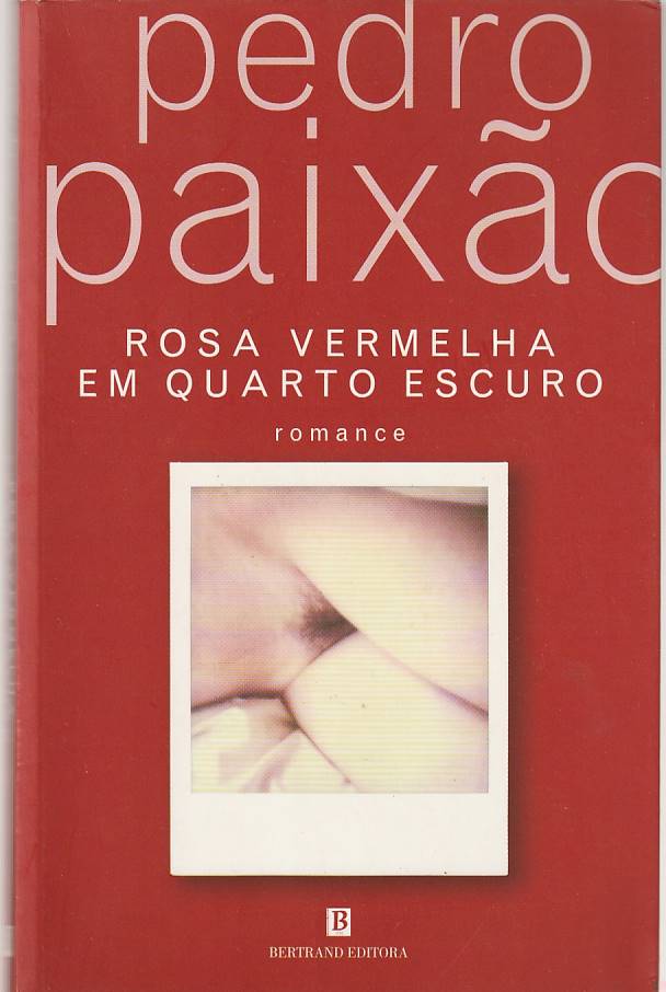 Rosa vermelha em quarto escuro