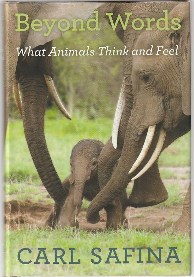 Beyond words – What animals think and feel