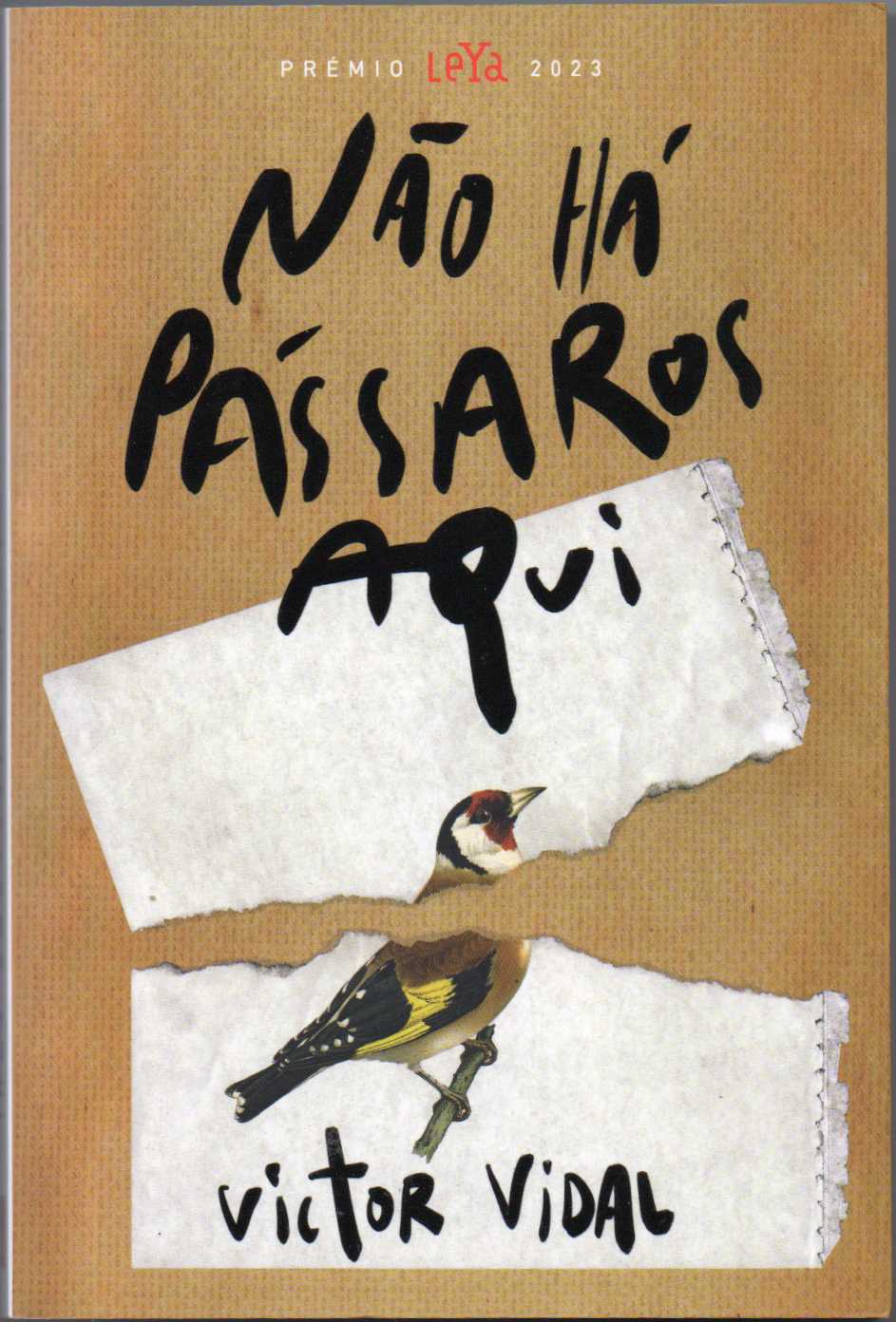 Não há pássaros aqui